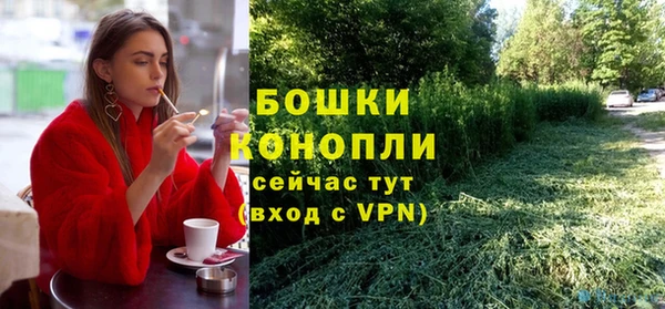 амф Арсеньев
