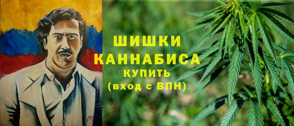 амф Арсеньев