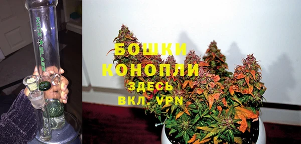 амф Арсеньев