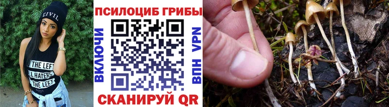 МЕГА онион  Стародуб  Галлюциногенные грибы прущие грибы 
