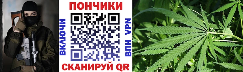 Марихуана сатива  Стародуб 